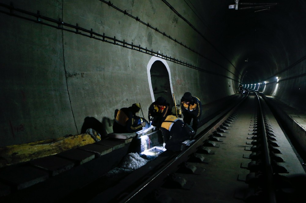 屏边铁路运营隧道病害现状